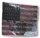13th IL Infantry, Civil War